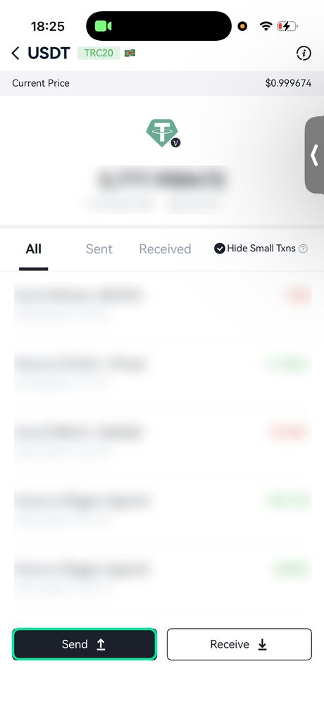 USDT → «Send», перевод как обычно